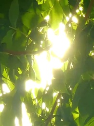 Episode 100 - Serendipitous Love