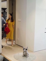 Đẳng Cấp Ở Rể - Episode 64