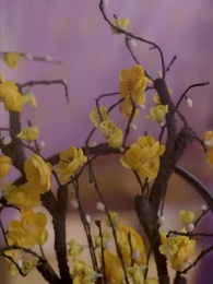 Episode 20 - The Vengeful Physician Princess