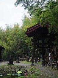 Episode 65 - The Divine Qi Master: Ascension