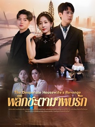 พลิกชะตามาพบรัก