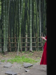 Episode 7 - The Divine Qi Master: Ascension