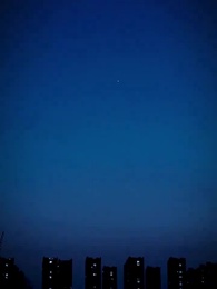 Return of Our Boxer Mommy - Episode 53