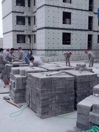 Return of Our Boxer Mommy - Episode 61