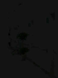 第31集 - 我愛你，星辰為證