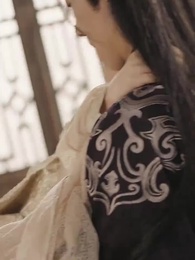 第40集 - 宸王的罪妃