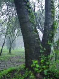 意恐遲遲歸 - Episode 67