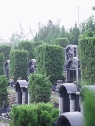 第3集 - 成了總裁暗戀的那個她