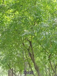 인턴 보스 - Episode 13