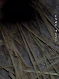 重生之棄女再嫁 - Episode 25