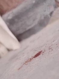 第2集 - 宸王的罪妃