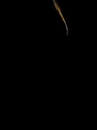 Cuộc Hôn Nhân Chớp Nhoáng Ngọt Ngào - Episode 2