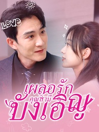 เผลอรักคุณสามีบังเอิญ