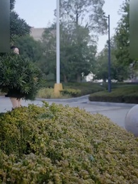 Curse Of The Hidden Underdog - Episode 29