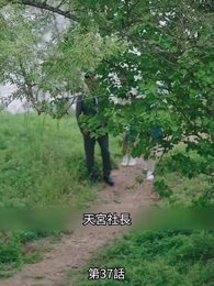 第37話 - 恋愛進行形