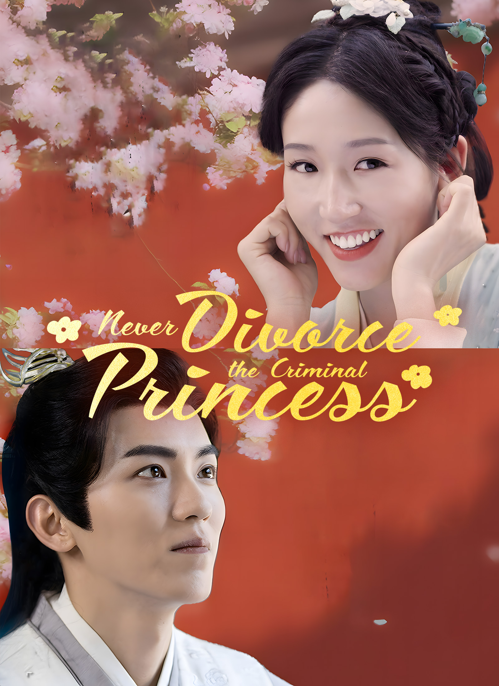 Never Divorce the Criminal Princess
