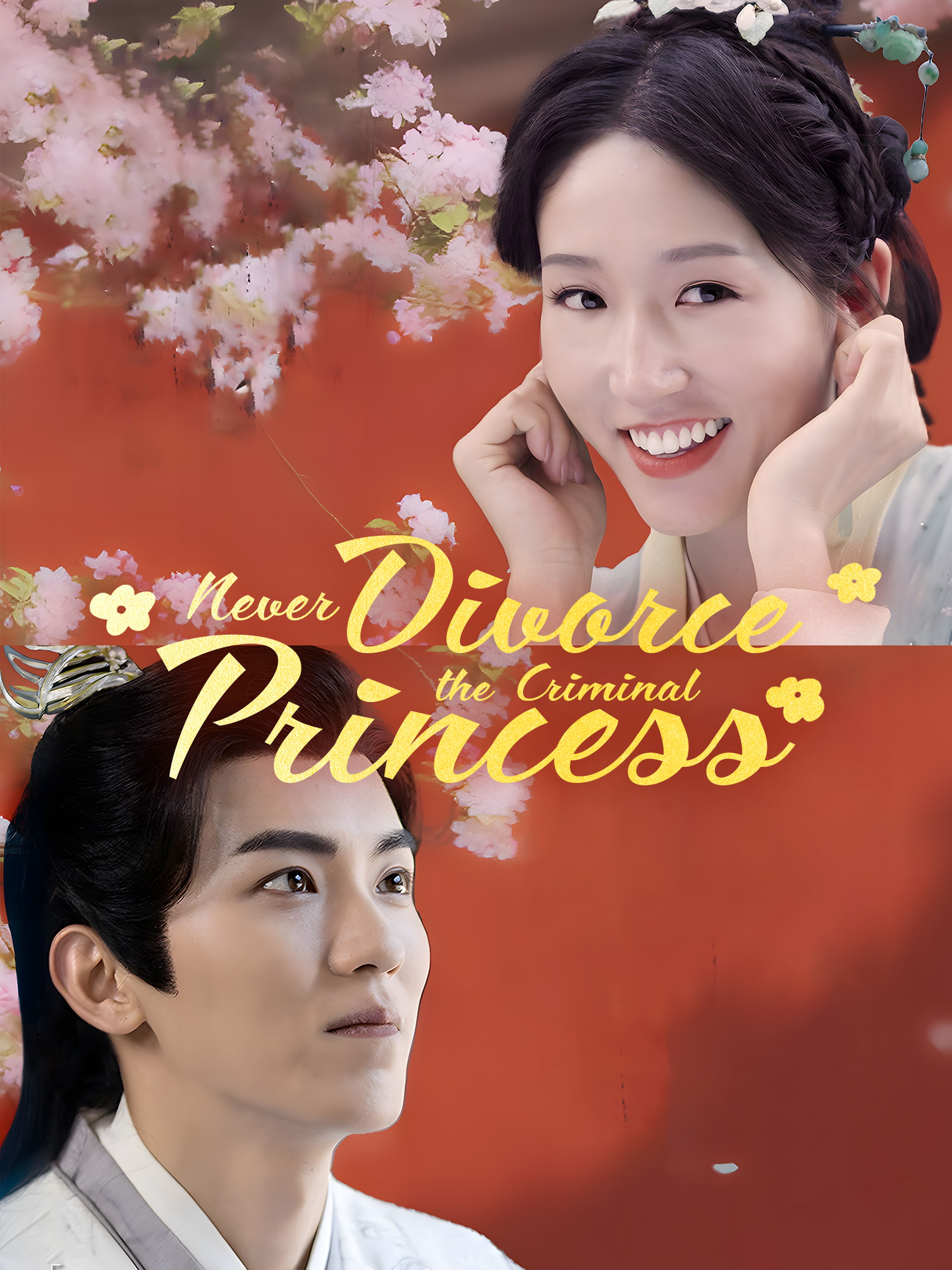 Never Divorce the Criminal Princess