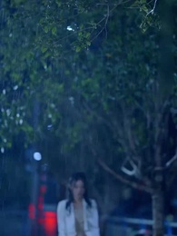 Tập 88 - Nước Mắt Thiếu Gia Họ Bạc