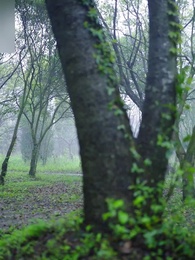 Episode 67 - Too Late To Love You Again