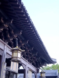 Episode 8 - Too Late To Love You Again