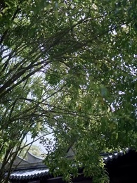 Episode 19 - Too Late To Love You Again