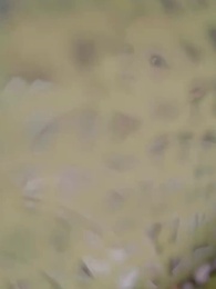 Episode 38 - Don’t Mess With the Cold Palace Concubine