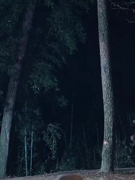 Episode 48 - Kill That Evil Prince