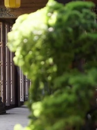 ตอนที่ 47 - ย้อนเวลามายั่วรักท่านอ๋อง