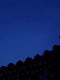 ตอนที่ 30 - ย้อนเวลามายั่วรักท่านอ๋อง