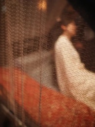 第51集 - 鳳凰於飛