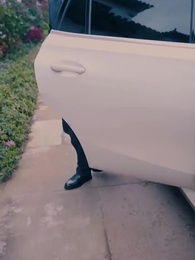 88화 - 지존군신