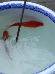 The Palace of Vengeance - Episode 45