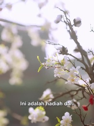 Episode 11 - Putri Mahkota Yang Manis