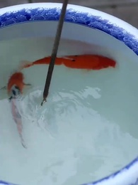 청궁사 - Episode 45