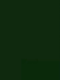 権力の神様 出獄後の龍帝！ - Episode 70