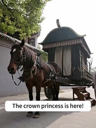 The Princess and Her Four Husbands - Episode 34