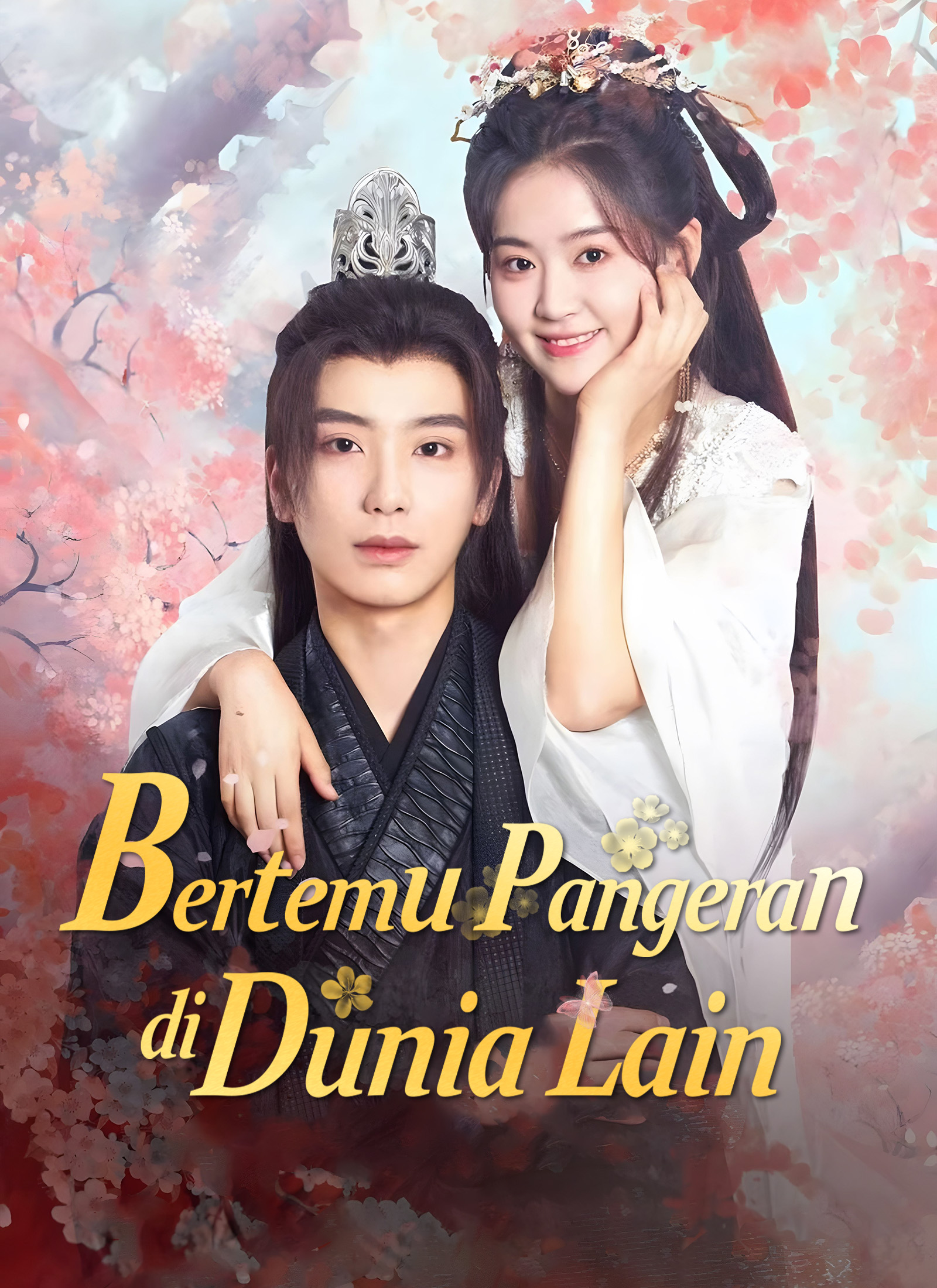 Poster Bertemu Pangeran di Dunia Lain