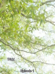 Episode 1 - Der ungewollte Partner