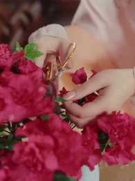 Pangeran Sutra - Episode 86