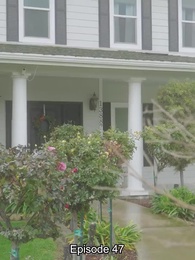 Episode 47 - Der ungewollte Partner