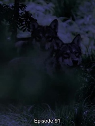 Episode 91 - Der ungewollte Partner