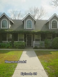 Der ungewollte Partner - Episode 39