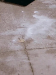 คุณคือดาวหมื่นแสนดวงของผม - Episode 2