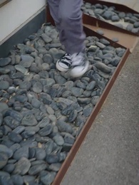 第44集 - 烏龍孕事