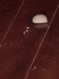 第6集 - 宮闕相思夢