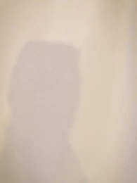 第26集 - 烏龍孕事