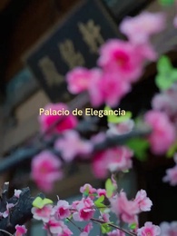 Episodio 38 - Sanadora y Venenosa