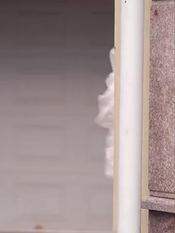 Episode 16 - Bayi Genius : Ayah, Krediturmu Datang