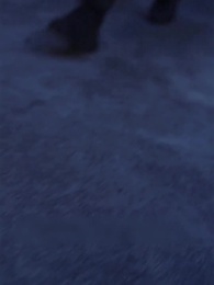 81화 - 대역 아가씨