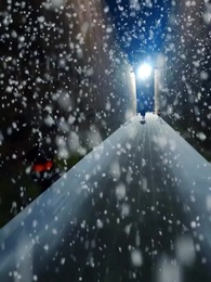 Episode 2 - The Reborn Princess